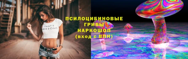 соль ск Богданович
