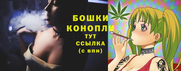 дмт Богородицк