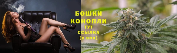 дмт Богородицк