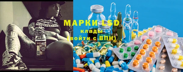 соль ск Богданович